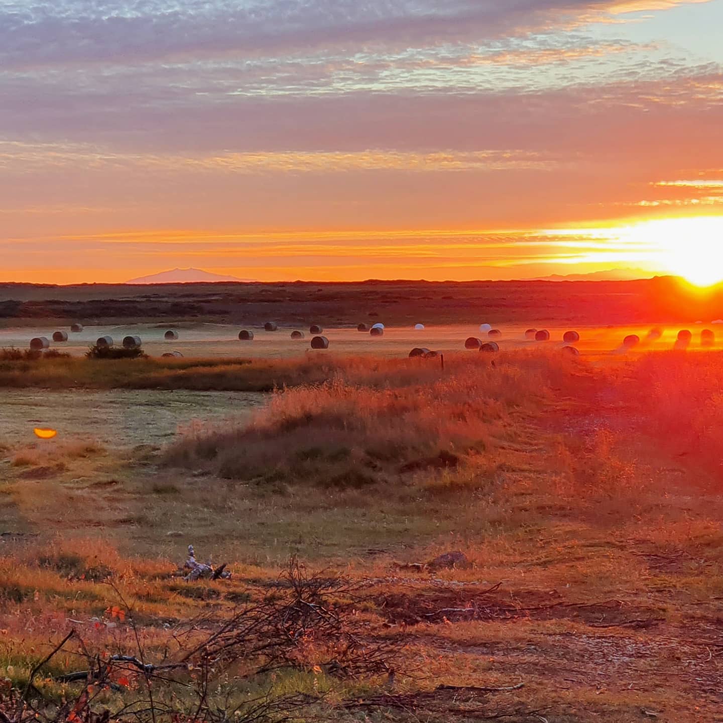 Njóttu þess besta úr íslenskri náttúru